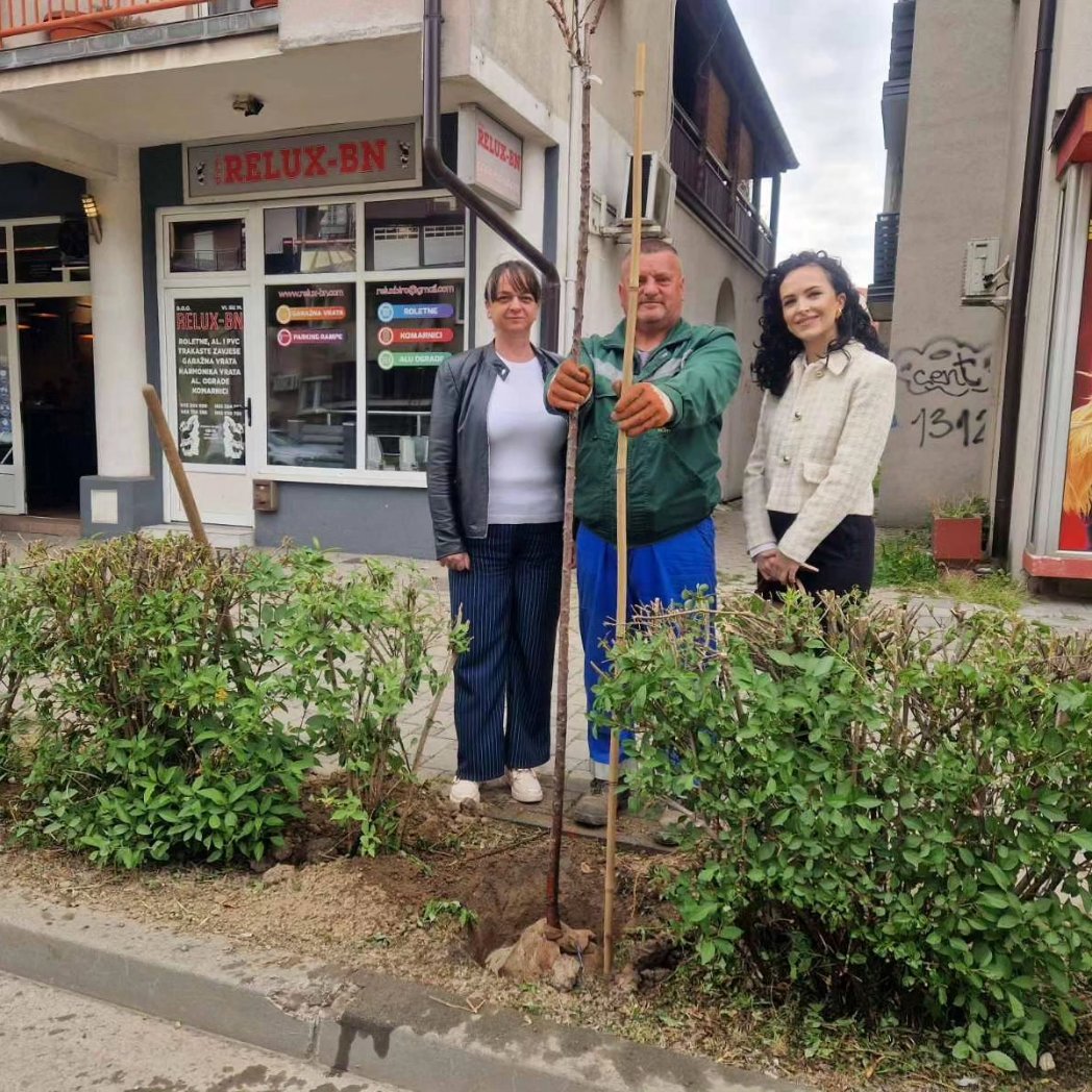 Саднице Јапанске трешње од данас ће красити Улицу Милоша Обилића захваљујући донаторима: 

1. Slot game Industries
2. Слађа Илић - Relux - БН д.о.о.
3. Драган Љубинковић