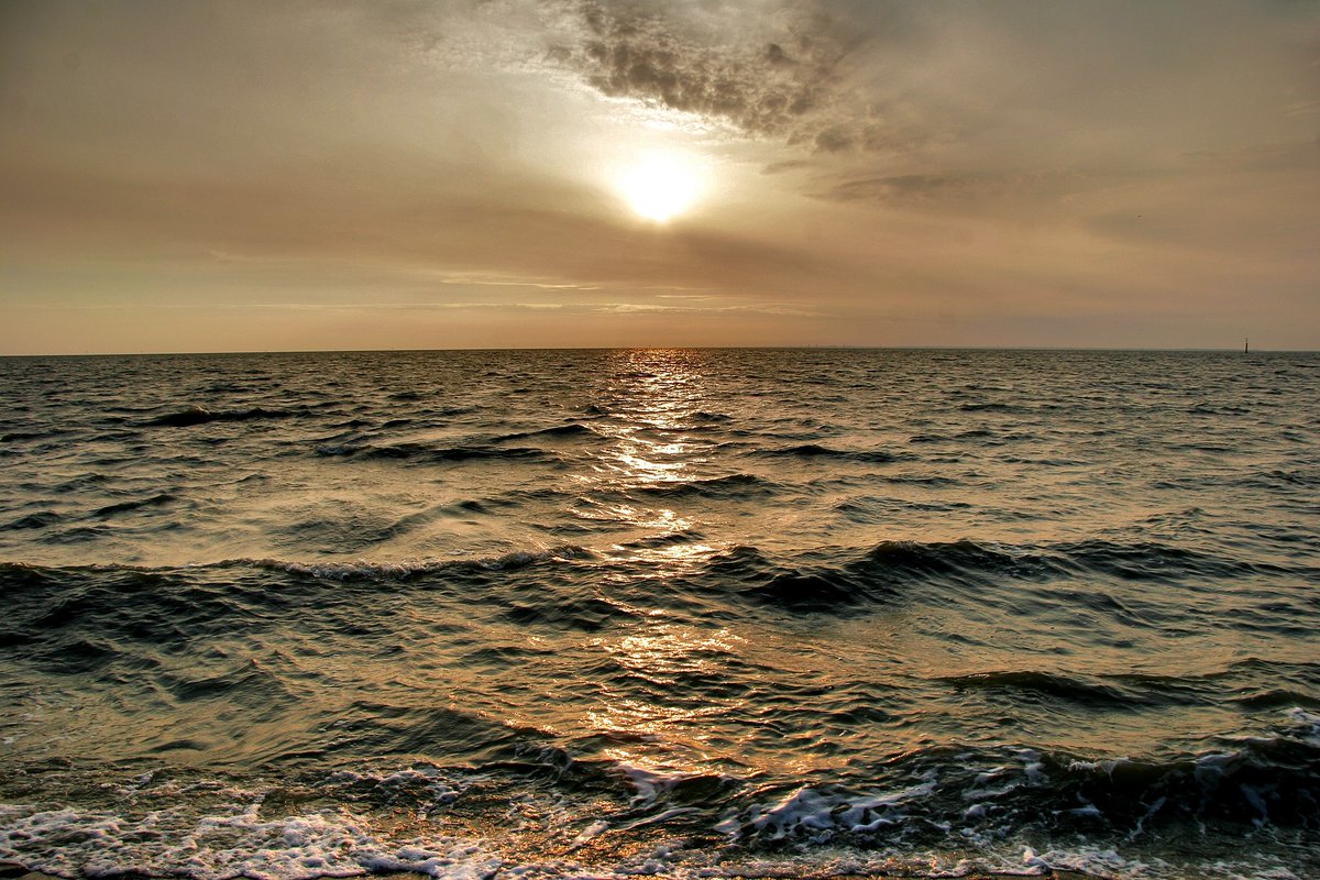 Read our latest article to learn about the #NorthSea herrings’ epic journey across the open sea. From Autumnal Scottish spawning grounds to your plate, enjoy a fishy tale of instinct, renewal &amp; the natural rhythms of the sea:
kipper.co.uk/life-cycle-nor…