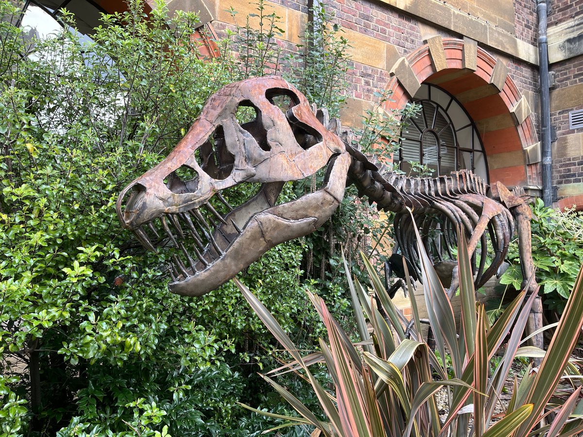 Tomorrow is the last chance to take part in our dinosaur egg hunt! 🥚 Our resident T-Rex Clare has laid six eggs around the museum. If you find all of them and answer the questions, you can win a prize from the shop. #CambridgeMuseums #MuseumActivities #DinosaurEgg #EasterEggHunt