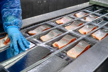 Cold chain tech revenue projected to exceed AU$10 billion 
Read more: 👇👇
wf.net.au/4auey30

#foodprocessing #food #foodindustry #foodtechnology #foodtech #foodtechnologist #foodprocessingequipment #foodproduction #foodmanufacturing #foodprocessing