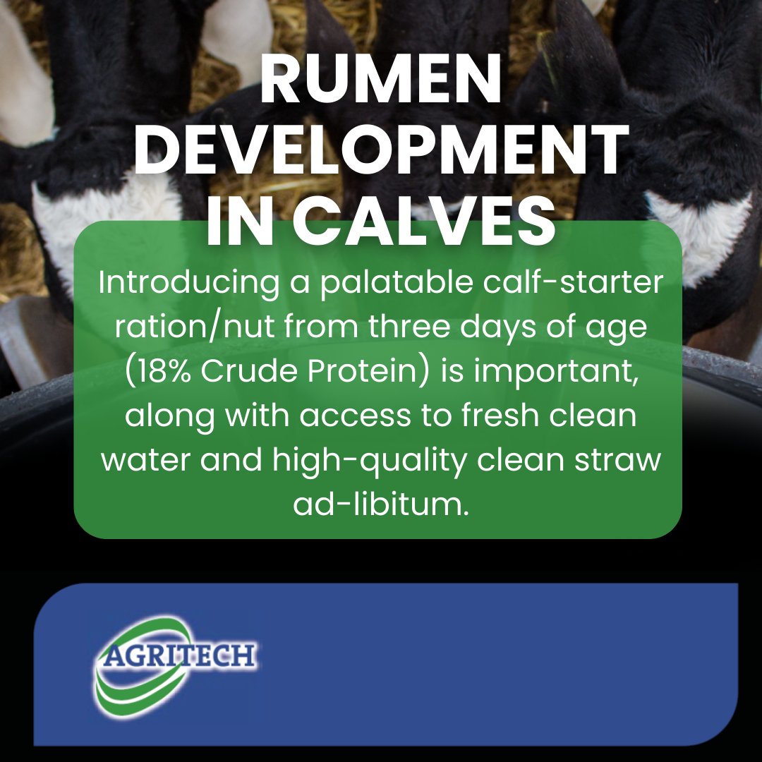 AgritechIreland's tweet image. Rumen development begins within the first dew days of life👌

📖Read more by clicking link in bio👉bit.ly/3v21zpR 

#RumenDevelopment #CalfStarter