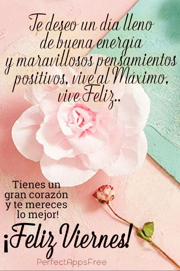 Feliz viernes para tod@s 😘🌹 La felicidad no llega cuando conseguimos lo que deseamos, sino cuando sabemos disfrutar de todo lo que tenemos CubaEsAmor 💕 @Tod@s 🤗 🌹