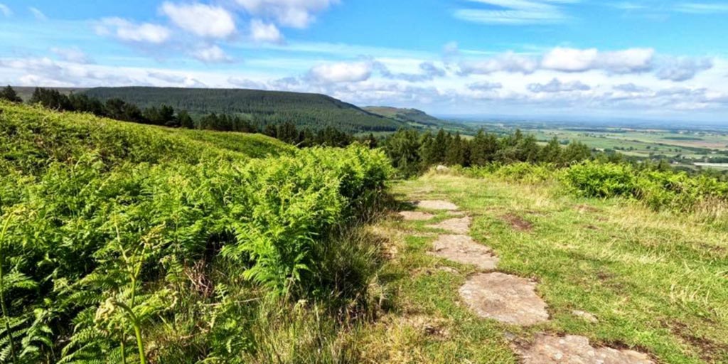 #NorthYorkshire has some amazing walking routes. 🚶 If you're enjoying the public rights of way network this weekend, please follow the countryside code - particularly on paths that run through farms or gardens. See ideas for walks at northyorks.gov.uk/leisure-touris…