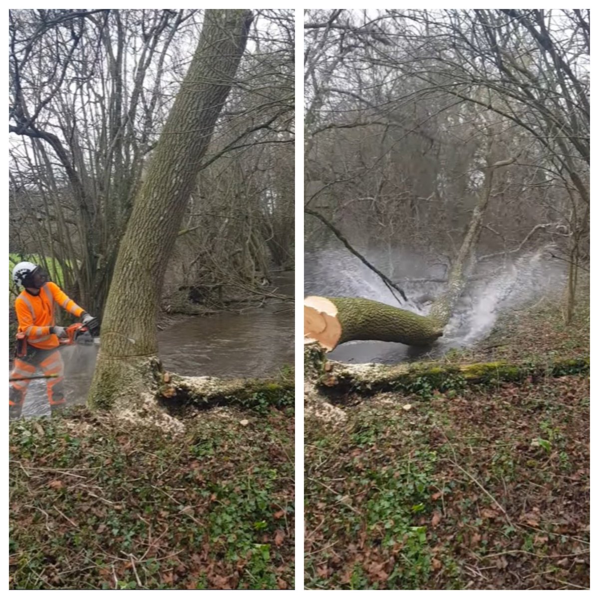 The Trust made a splash on the Cranborne Chase this winter 💦. Blocking this historically perched and channelised reach of winterbourne will encourage it to spill into the floodplain, re-wetting meadows and creating new complex ephemeral channels.