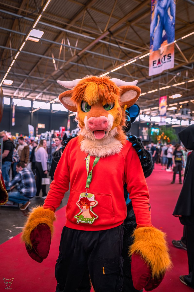 Ahhh, I never participate in fursuit Friday 🥸 Guess we’ll try to be “main-stream” for a change! Especially since this picture turned out quite nice 🙈🐮🙈 MOOOO 🐮 : meee @Fumps_The_Folf 📸 : @SkygeJager #FursuitFriday #fursuit #bullsuit #Bull #fursuiter