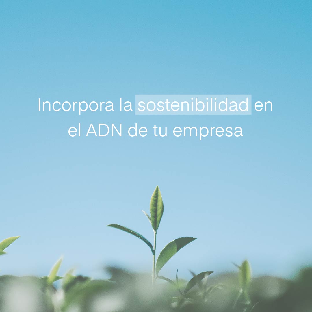 En un mundo cada vez más consciente de la importancia de la sostenibilidad, las empresas se enfrentan a la necesidad de adoptar estrategias sostenibles.  S-Track, nuestro software de medición de indicadores de sostenibilidad,  te guía hacia un futuro más verde y responsable.