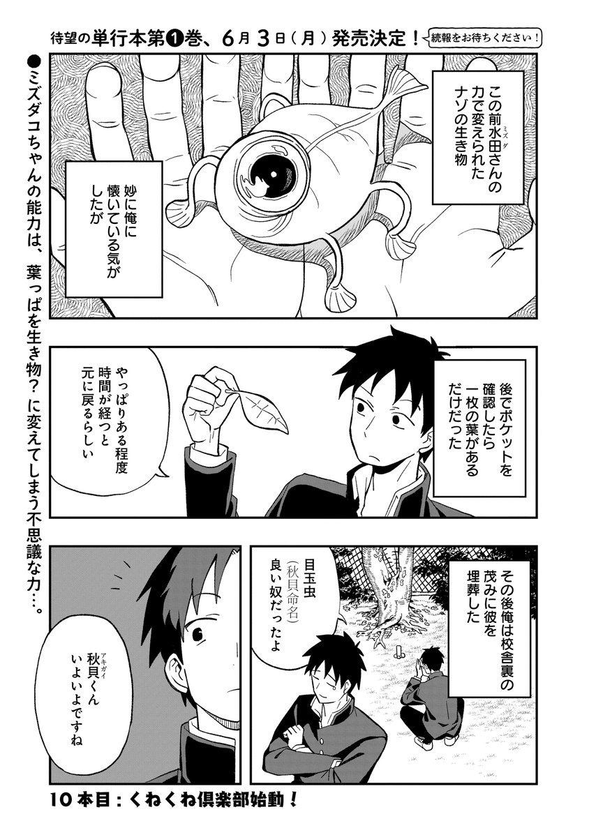 🐙🐙ミズダコちゃん最新話更新🐙🐙 ＼大好評毎週土曜更新／ 眼亀