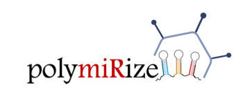 The Baker lab have been selected for funding in the 2023 @ERC_Research Advanced Grant results! PolymiRize: Poly-miRNA targeting to prevent and reverse complex tissue remodelling after acute cardiovascular events. This is the second Baker lab Advanced grant🌟 #ERCAdG @EdinUniCVS