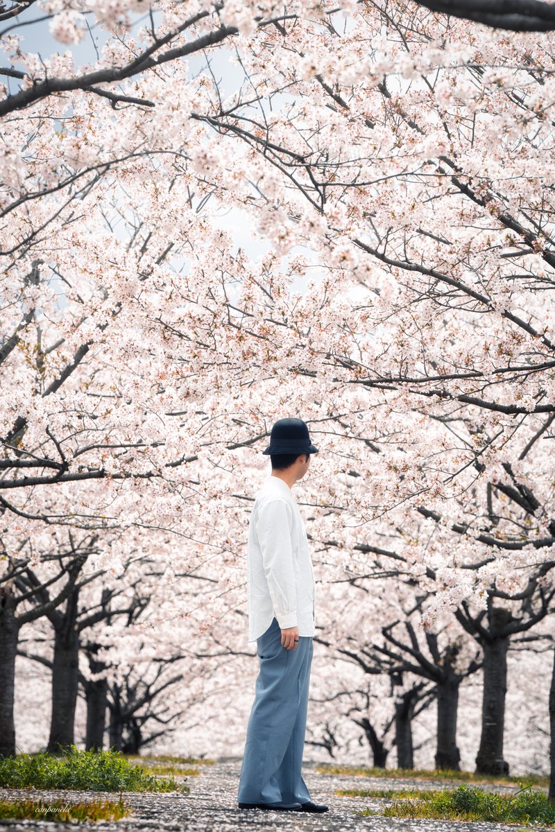 桜並木のカンパネラ🌸

今日も一日お疲れ様でした♪

いっぱい桜を満喫してきました😆

#写真好きな人と繋がりたい
#写真撮ってる人と繫がりたい
#写真で伝える私の世界
#ファインダー越しの私の世界
#α7IV
#photography
#photo