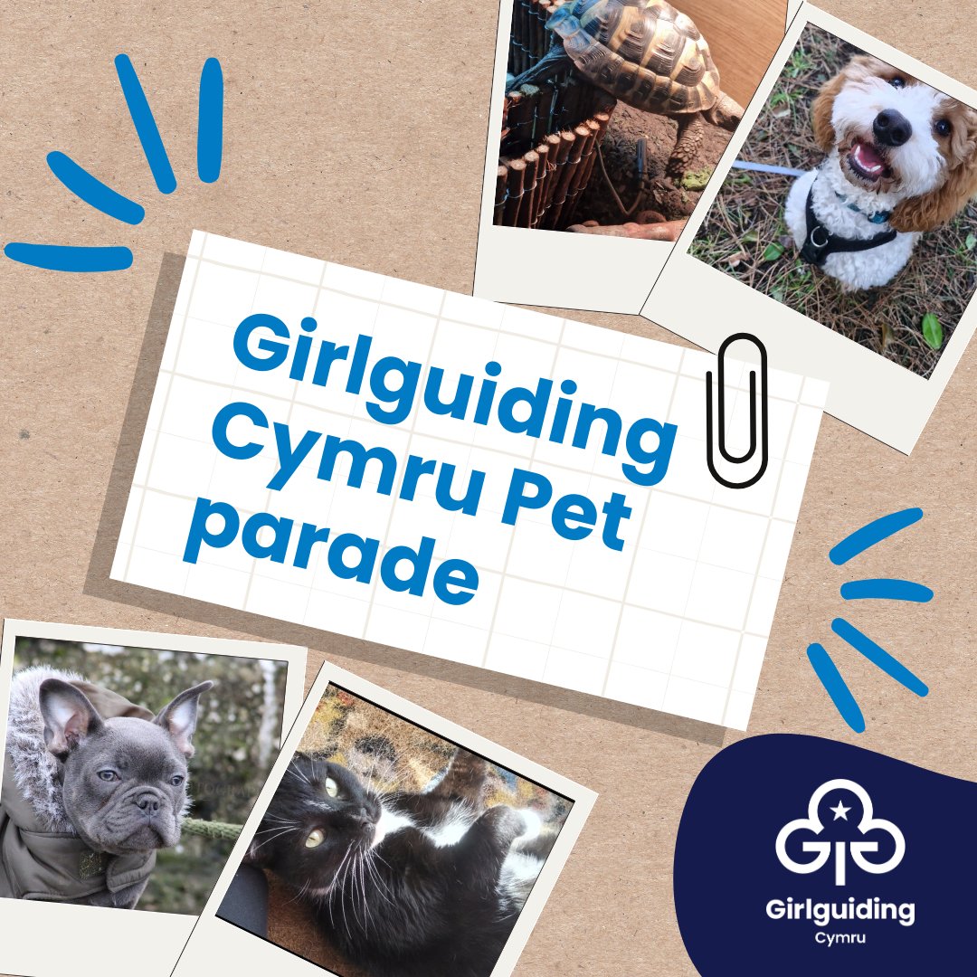 🐾 It's finally here! The Girlguiding Cymru Pet Parade 2024 video is live in celebration of National Pet Week! A massive thank you to all our members who sent in their adorable pet photos. Watch our socials for the winners. 🐾 fb.watch/roMoaKv6Ql/ via @FacebookWatch