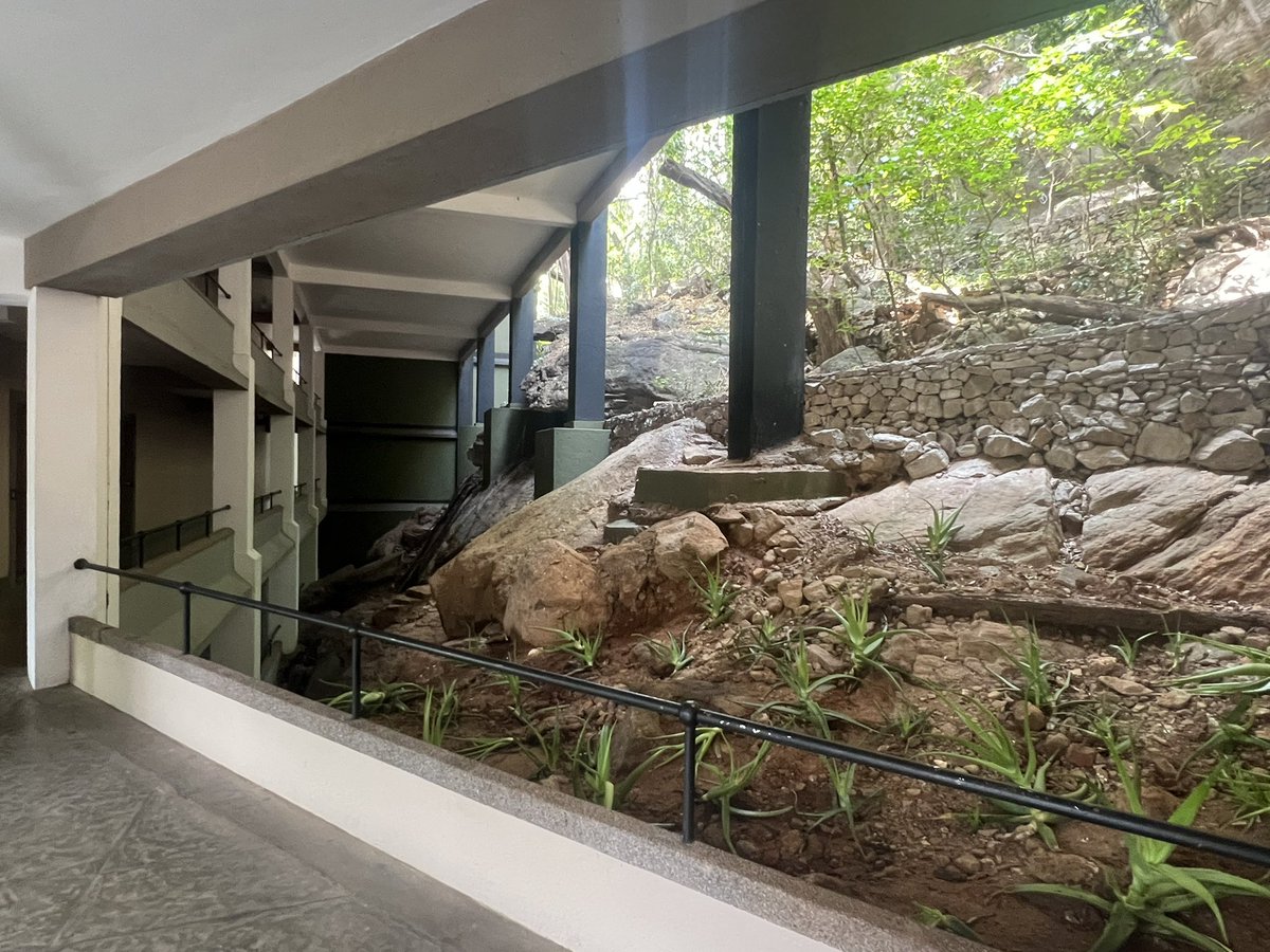 Staying at Heritance Kandalama, likely architect Geoffrey Bawa’s most stunning creation. Using stone, water and greenery as references as in historic Sri Lankan architecture, seamlessly blending into the zigzagging granite slope. The most extraordinary hotel I’ve stayed at. 🇱🇰