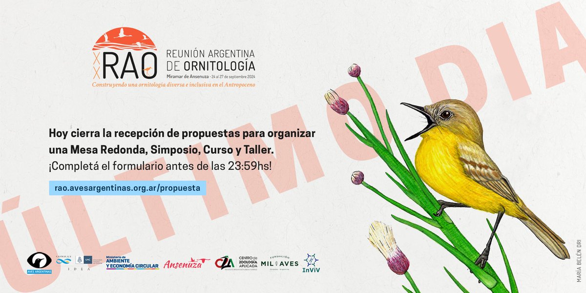 ⚠️HOY ÚLTIMO DÍA PARA MANDAR PROPUESTAS PARA LA #RAO2024 ¿Te gustaría presentar un Simposio, Mesa Redonda, Curso o Taller durante la #ReuniónArgentinadeOrnitología? ¡No la dejes pasar! Tenés tiempo hasta las 23:59hs Accedé al formulario ingresando 👉bit.ly/3xvLs4G