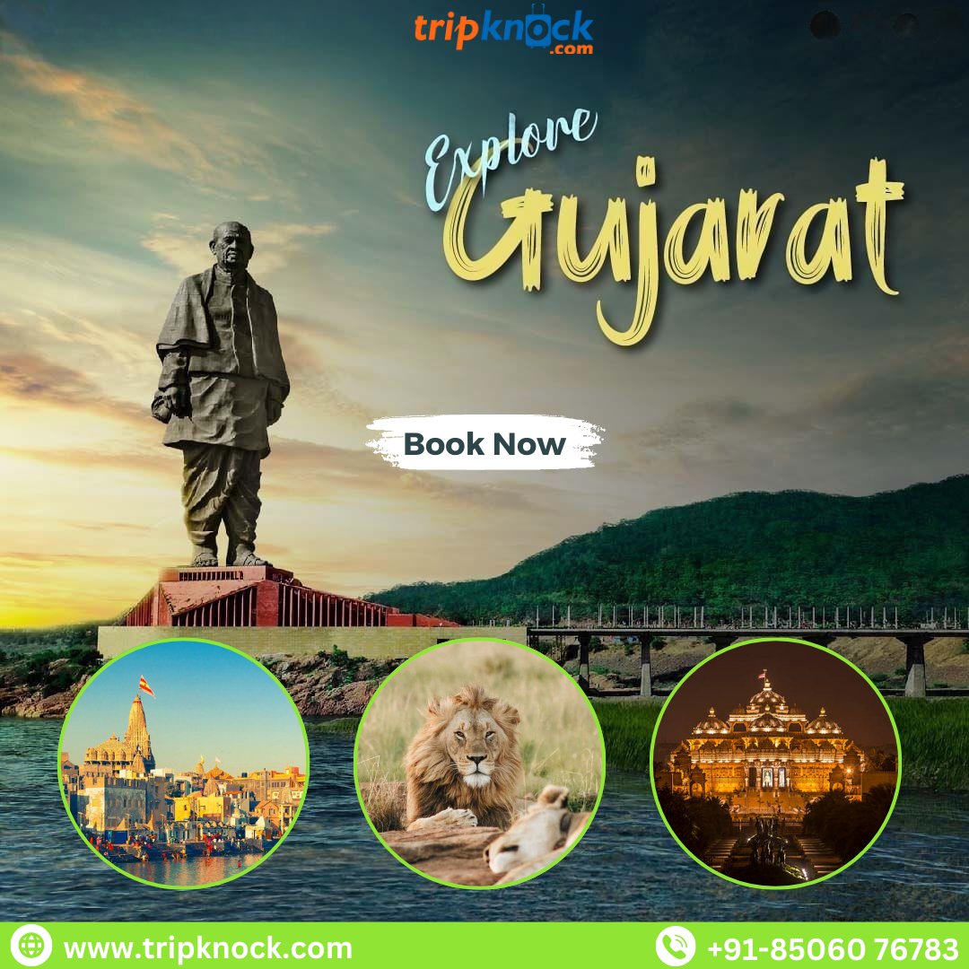 😍Ready to experience the magic of Gujarat? Let us craft your dream itinerary and create memories that last a lifetime.✨

To get the best deals, the link in bio or Contact us - +91-99535 97434 / +91 85060 76783
.
.
#gujarat #gujarattourism #exploregujarat #gujaratcity