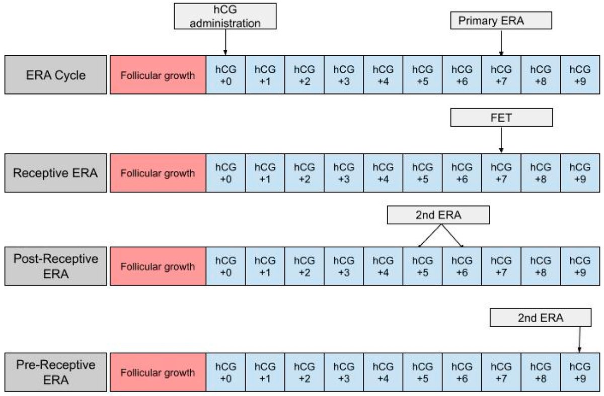 💥Call for reading today's #Most_Viewed Paper 'Review of #Endometrial Receptivity Array: A Personalized Approach to #Embryo_Transfer and Its Clinical Applications' 🏫New York Medical College @nymedcollege 🔗mdpi.com/2269142 @MDPIOpenAccess @MediPharma_MDPI