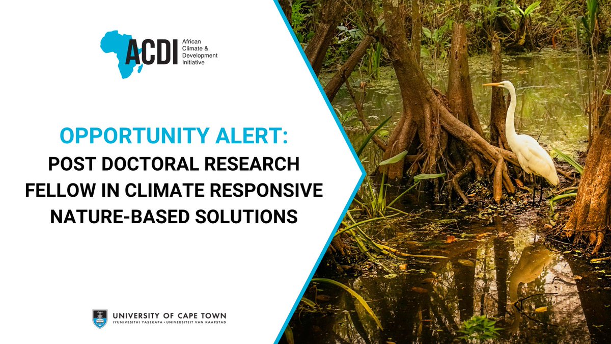 African Climate & Development Initiative (@acdi_uct) on Twitter photo 🌍 Opportunity Alert! Join ACDI as a Postdoctoral Fellow! Work on the <a href="/Albatros_EU/">ALBATROS_EU</a> project funded by the EU, focusing on #naturebasedsolutions for #African climate #adaptation.
Apply now to contribute to innovative strategies for a sustainable future - rb.gy/sufl4u 🌍 Opportunity Alert! Join ACDI as a Postdoctoral Fellow! Work on the <a href="/Albatros_EU/">ALBATROS_EU</a> project funded by the EU, focusing on #naturebasedsolutions for #African climate #adaptation.
Apply now to contribute to innovative strategies for a sustainable future - rb.gy/sufl4u