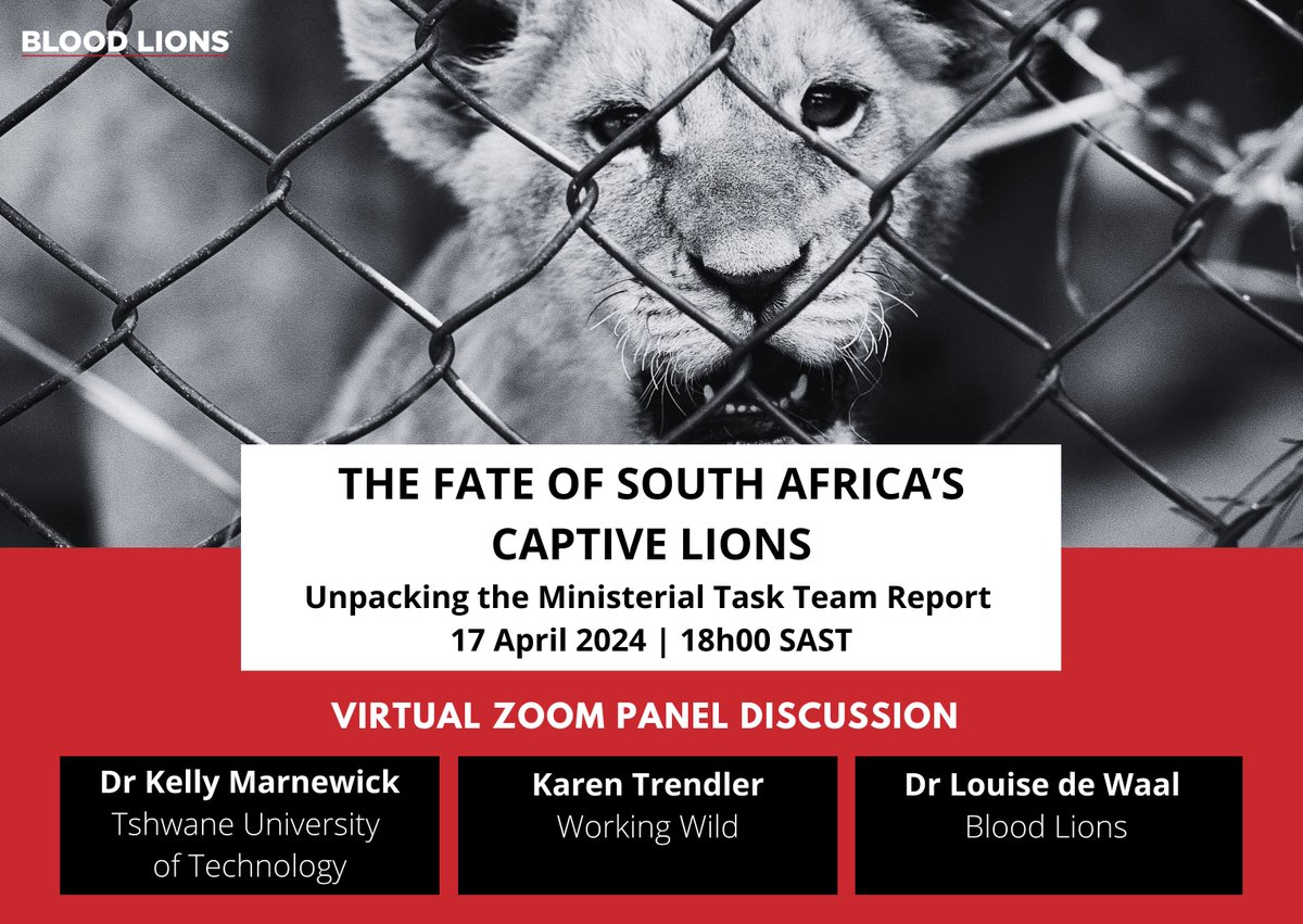 UPCOMING WEBINAR - THE FATE OF SOUTH AFRICA'S LIONS Join us online on Wednesday, 17 April 2024 as we unpack a recently released report detailing various exit options for South Africa's captive lion breeders. DATE: 17 April 2024 TIME: 18h00 SAST REGISTER: us02web.zoom.us/meeting/regist…