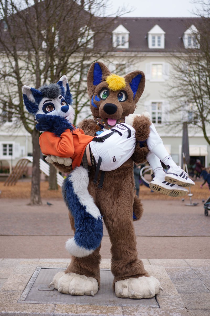 Smol fox being stolen by big bearsk! Always appreciate it when friends give me a 'lift' 😇

Happy #FursuitFriday 🧡
🐻: @CydoBear 
📸: @Soundwave857 
📍: Karlsruhe