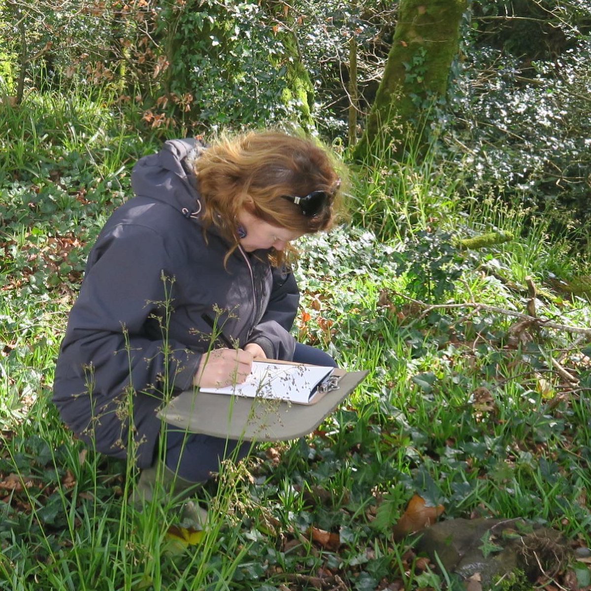 Last couple of tickets available for my Green Sketching workshop tomorrow @cecas_ie, Myross Wood House, Leap. I’ll be organising more dates and venues in the coming weeks, so follow here, or keep an eye on my website for updates. anneharringtonreesdesigns.ie