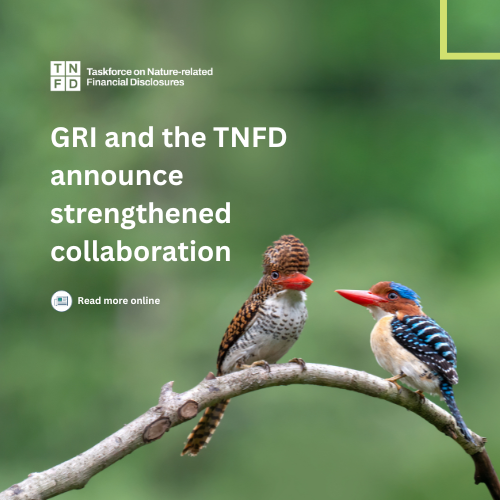 Global Reporting Initiative (GRI) & @TNFD_ announce strengthened collaboration underscoring our ongoing commitment to drive towards further alignment and #interoperability 🗞 Read more - tnfd.global/strengthened-c… #TNFD #GRI #Sustainability #CorporateReporting #NaturePositive