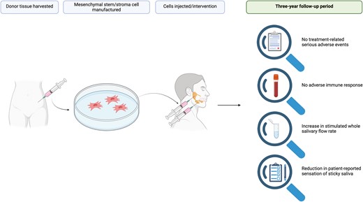 Study evaluating the long-term safety and effectiveness of allogeneic-derived mesenchymal stem/stromal cell injections in the major salivary glands for the treatment of radiation-induced xerostomia: doi.org/10.1093/stcltm…