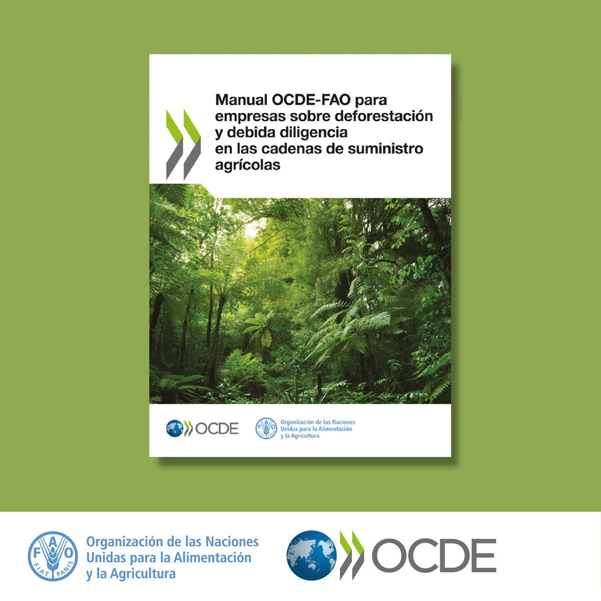 La @ocdeenespanol y la @FAOenEspanol han publicado un manual para empresas sobre deforestación y debida diligencia en cadenas de suministro agrícola. El manual ayuda las empresas a cumplir sus responsabilidades de reducción de la deforestación. Léelo👉bit.ly/3vSO4cn