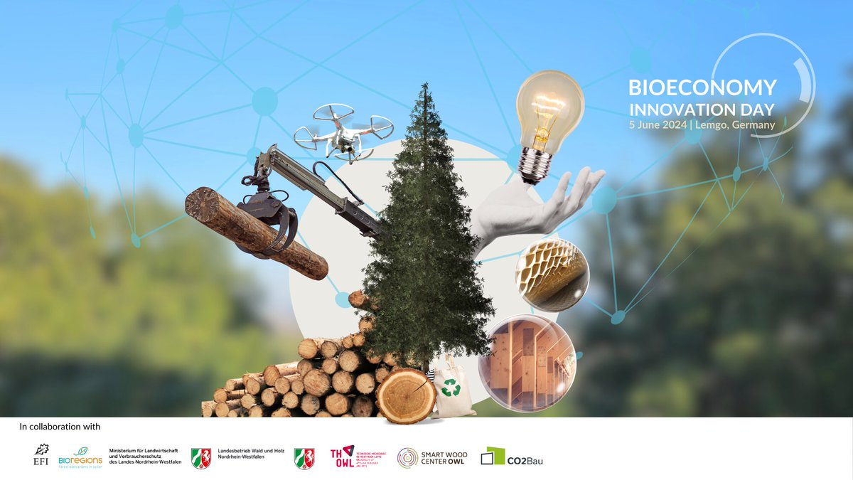 📢 At the Bioeconomy Innovation 2024, you’ll have the chance to meet forward-thinking solution providers and network with our presenters and participants. 🗓️ Visit our website to learn more! bioregions.efi.int/bioeconomy-inn… @europeanforest @WaldundHolzNRW @THochschuleOWL