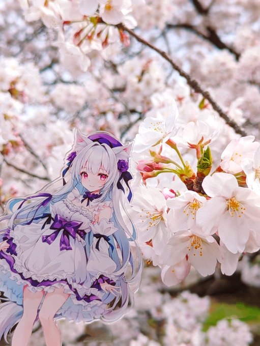 桜と紫音ちゃん! 