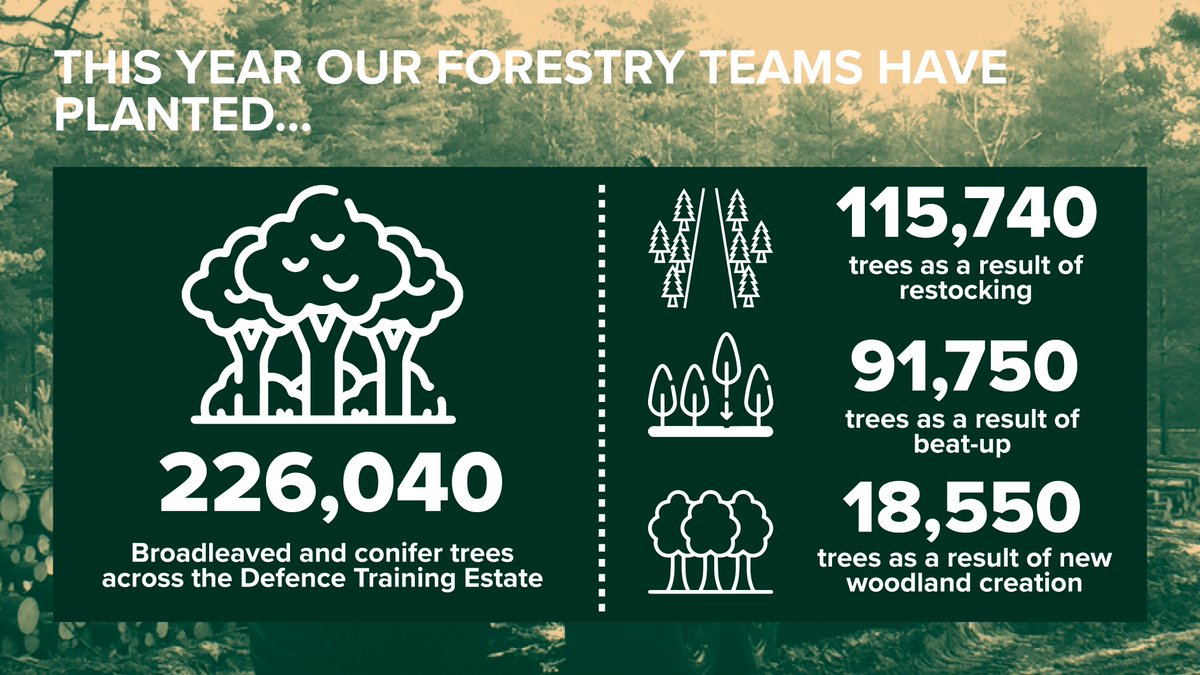 #DidYouKnow last financial year, #TeamLandmarc planted more than 226,000 trees? This has been achieved by restocking areas which have been felled, beating-up areas to replace dead or missing trees or via new woodland creation, helping to improve biodiversity & tree health.