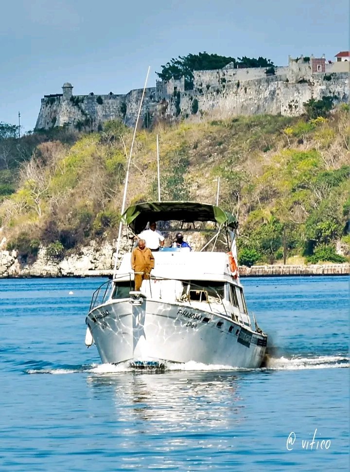 Buenos días, ¡al fin viernes! . La única persona en la que estas destinada en convertirte es en la que tú decidas. Ralph W. Emerson