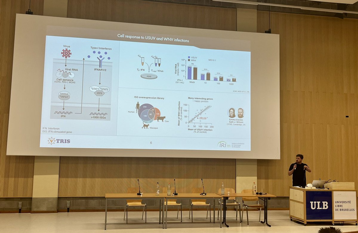 @JimZPhD sous les feux de la rampe aux #JFV2024 pour présenter ses travaux sur la résistance du virus Usutu à la dégradation par ISG20! @SFV_France @IRIM_life