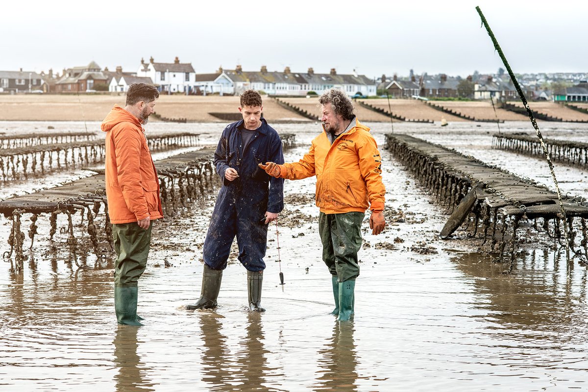 On Monday, we went to visit our friends over at @whitstablerocks oyster farm, where we learned all about how they achieve such high quality, and checked out the 2023 seed oysters, which will be good to go by the end of the summer 🦪 #whitstable #oysterfarm