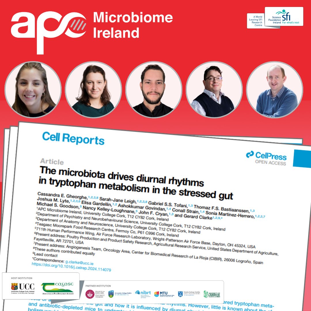 New APC paper out in @CellReports today outlines what is going on in the #stressedgut and highlights host-microbe interactions important for #rhythms in #tryptophan metabolism and gut barrier function @UCC @UCCResearch @scienceirel ➡️ bit.ly/3PZ3L8B