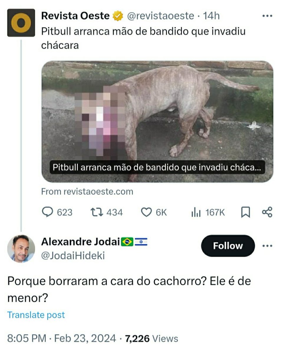 Eu amo essa rede social
Kkkkkkkkkkkkk