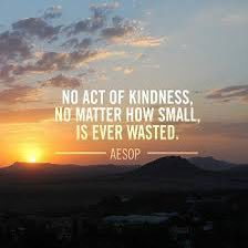 No act of kindness no matter how small is ever wasted #quoteoftheday