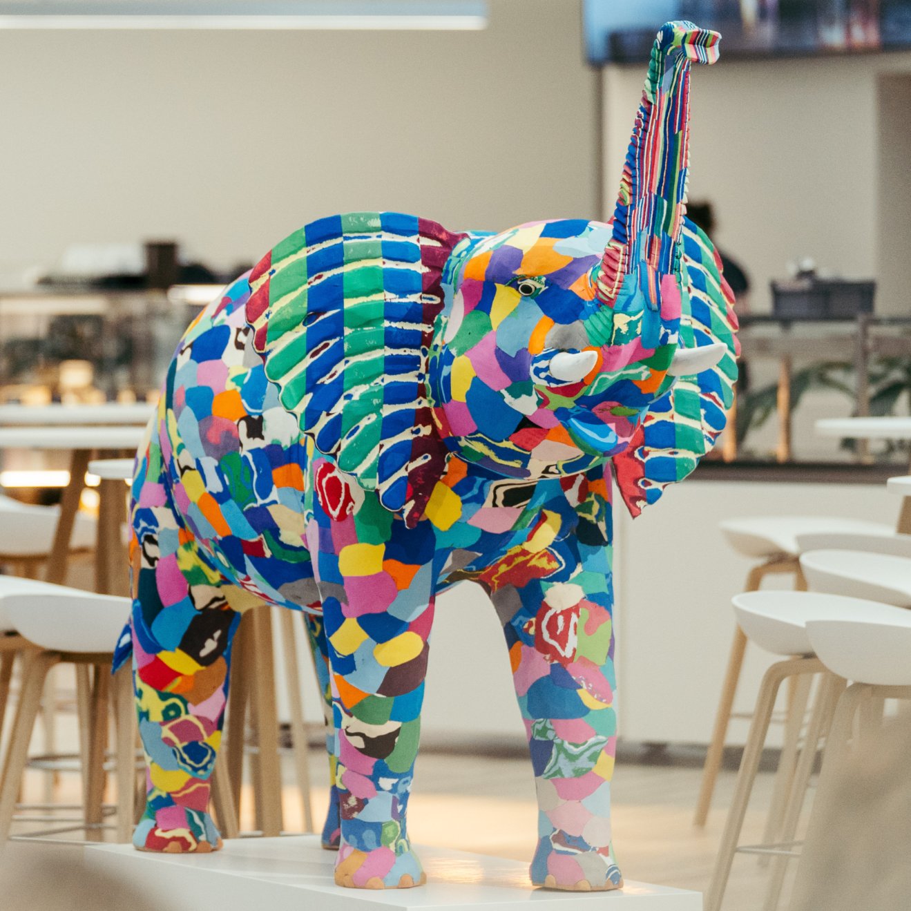 Elephant flip flops deals