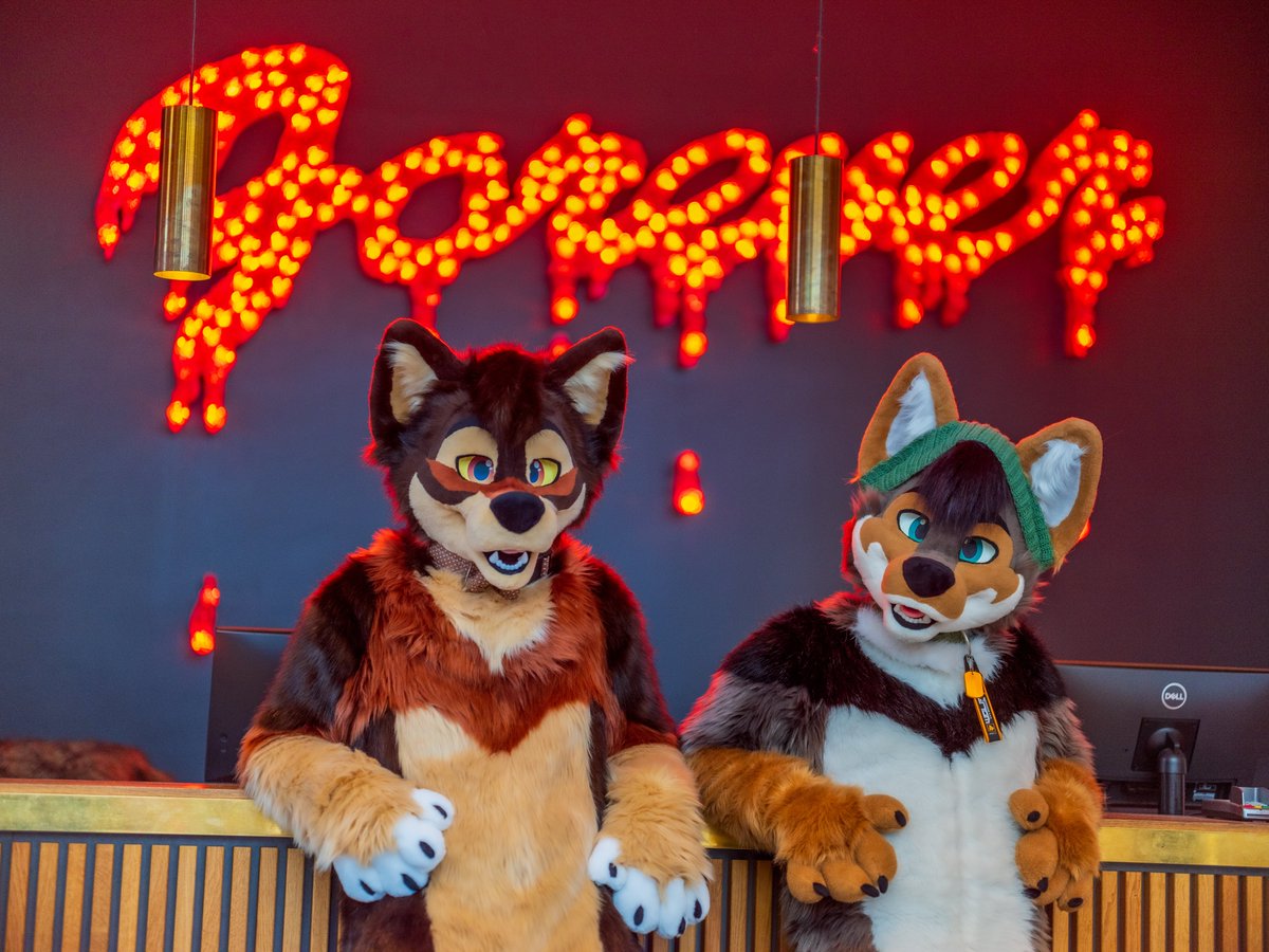 hanging out with @Luciensheppy this #FursuitFriday 🌇🐾🐺 📸: @CaptainChaotika 🪡 : @CritterWorkshop 📍 : #nordicfuzzcon