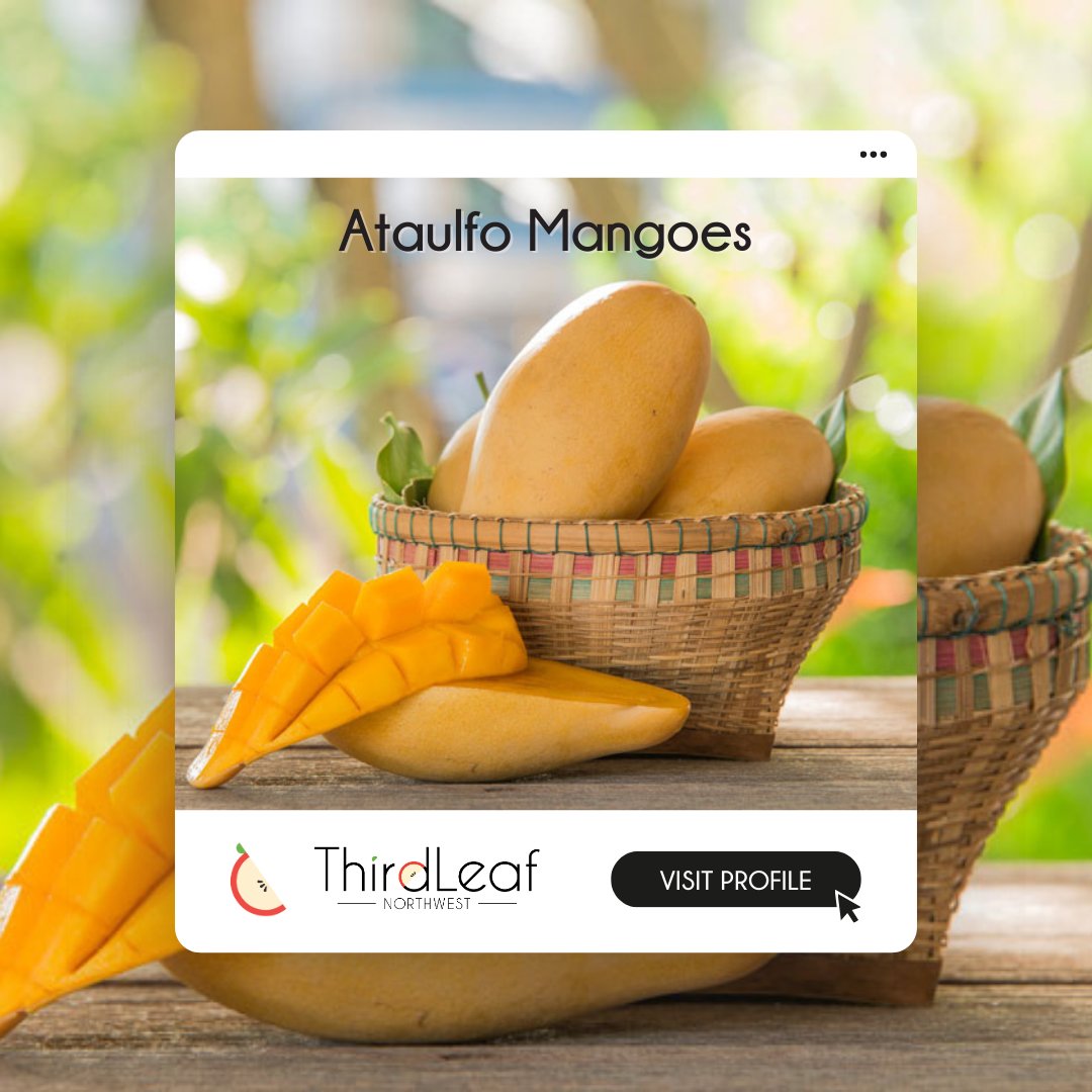 This week we are delivering these sweet + adorable mangoes! Ataulfo mangoes are smaller than the average mango, exceptionally sweet, and packed with vitamins and antioxidants. Make sure to try one this week!

#ataulfomangoes #mangovarieties #tropicalfruit #healthysnacks