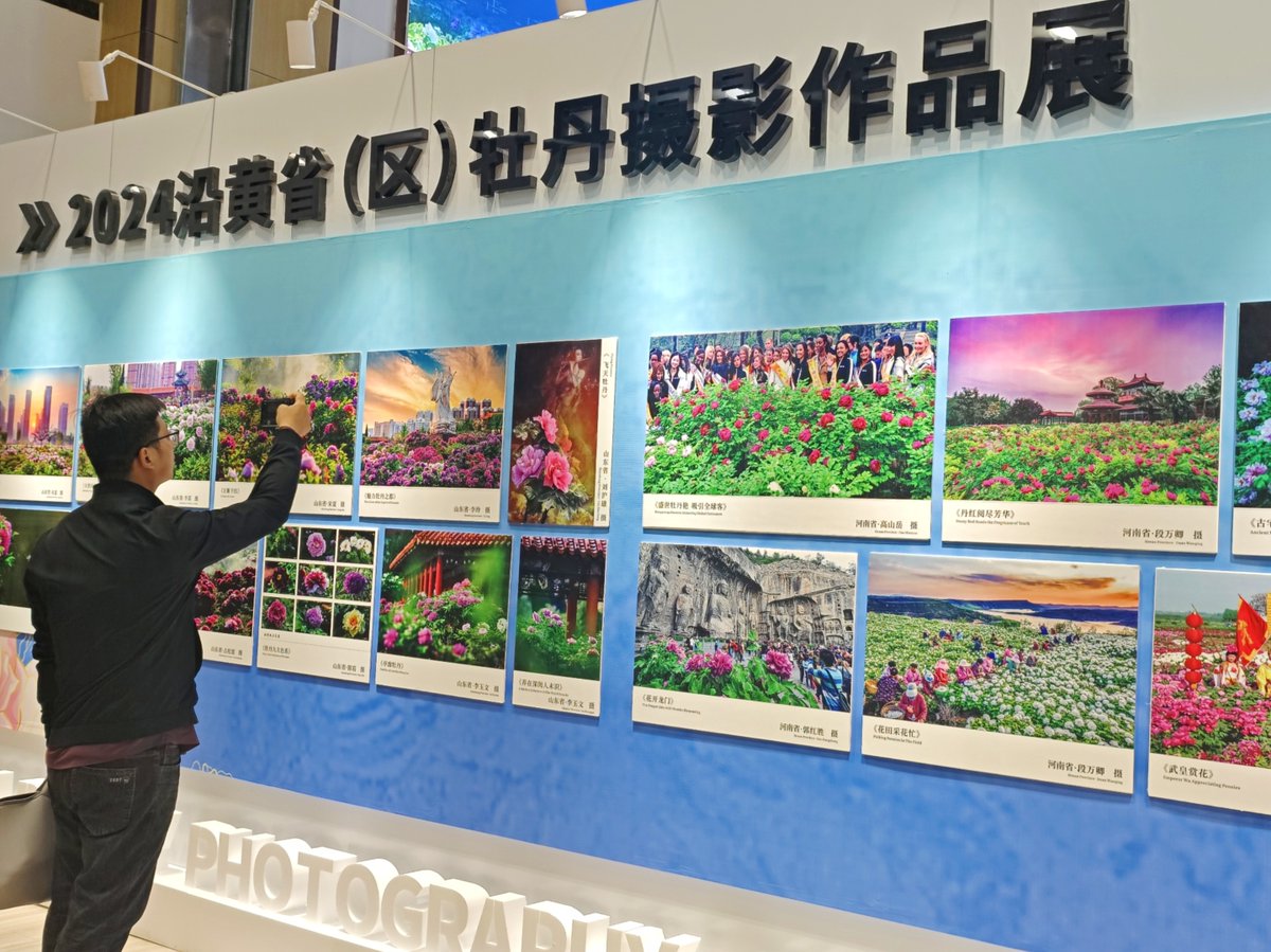 A #peony-themed photography exhibition is being held in #Heze as part of this year's Heze Peony International Communication Forum. Explore the mesmerizing beauty through the lens! 📸 #HPICF2024