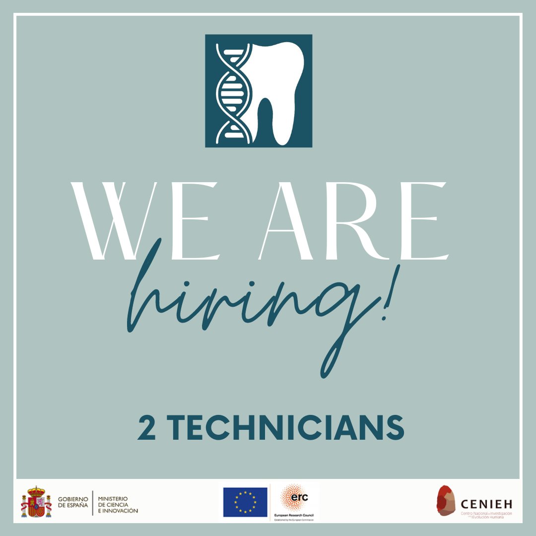 We are looking for two Technicians to join our team! 🔬 DEADLINE: 30/04/2023 @erc_research @cenieh_icts @fecyt_ciencia APPLY NOW AND JOIN OUR AMAZING TEAM!!✍️ cenieh.es/sobre-el-cenie… #CENIEH #research #erc #teeth #hiring #Jobs