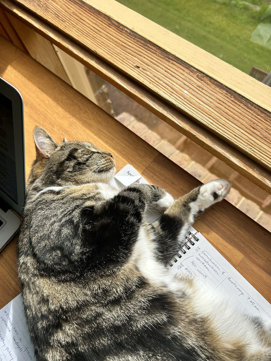 Helpful study buddy 📝