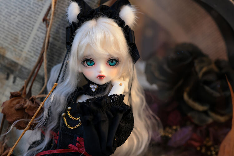 【DOLK×Peak’s woods】🐈10体限定🐾

キトンブルーLady beeが10体限定の復刻！

➡dolk.jp/portal/itemDet…

DUYA×Codenameによる子猫コラボがふたたび♪

女王猫Tristanの誕生を記念し、数量限定の特別復刻が叶いました。大きな瞳や華奢な手足、ふわふわの猫毛のようなウィッグにご注目ください。