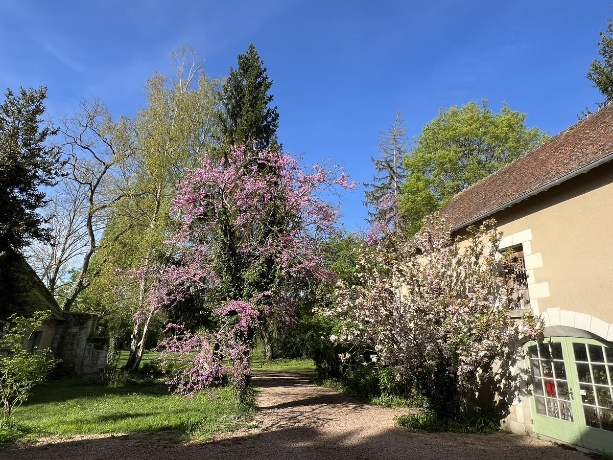 Le soleil est arrivé !