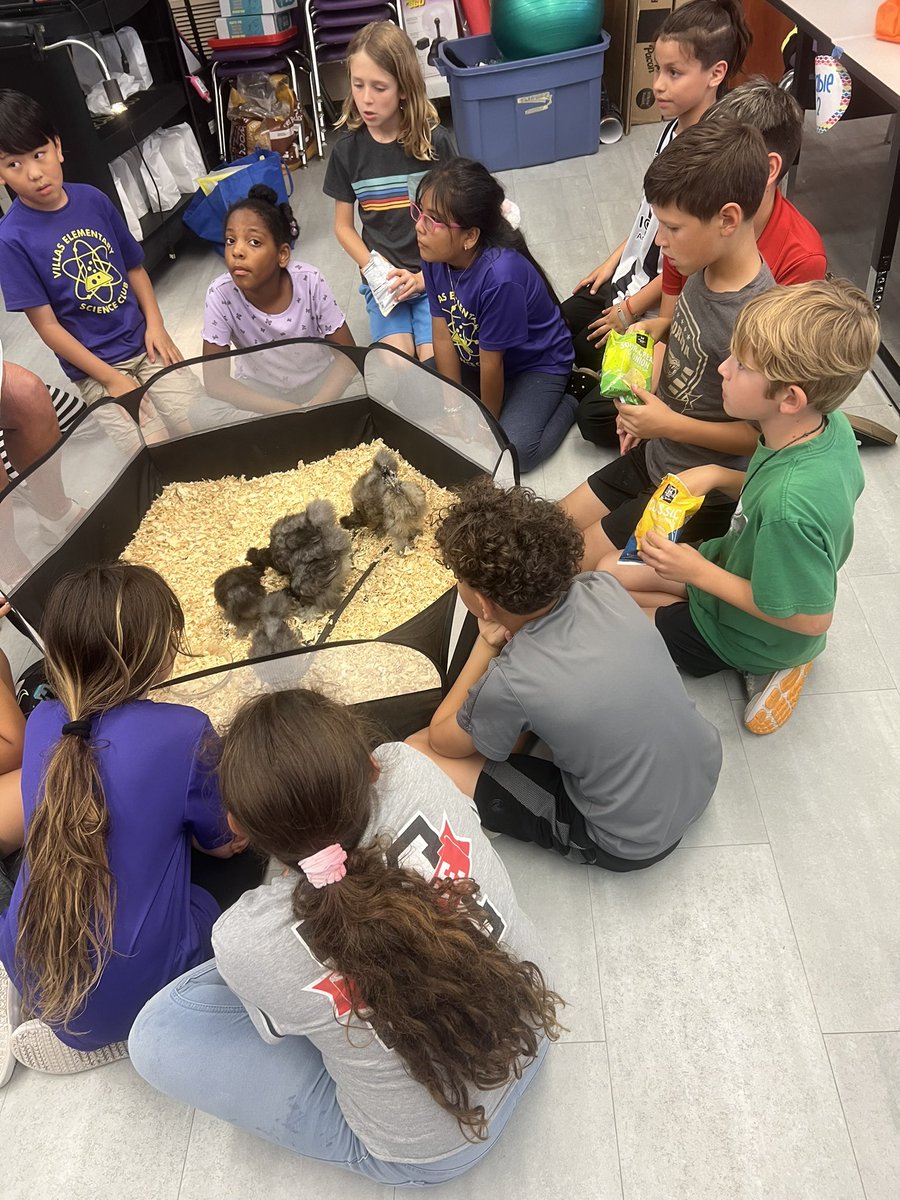 Mrs. Ginart’s Science Class tweet media