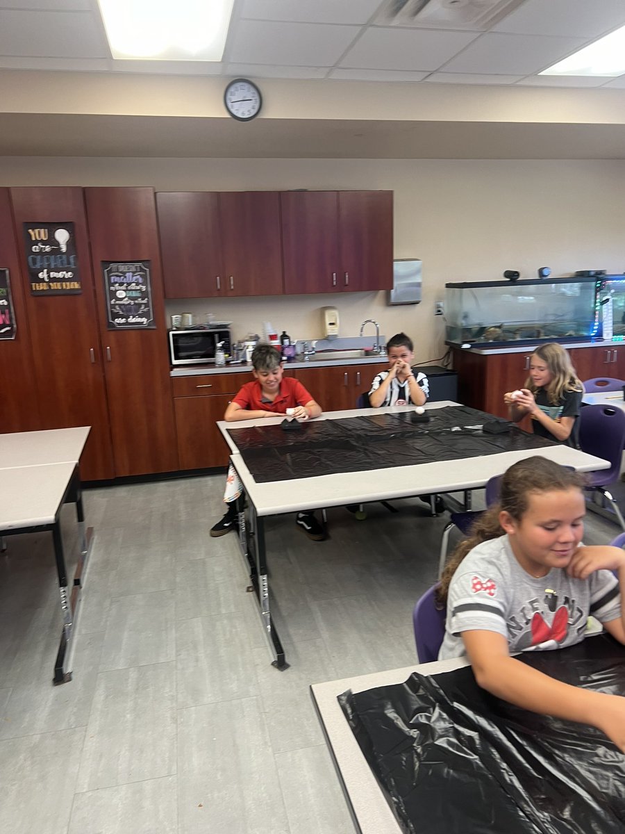 Mrs. Ginart’s Science Class tweet media