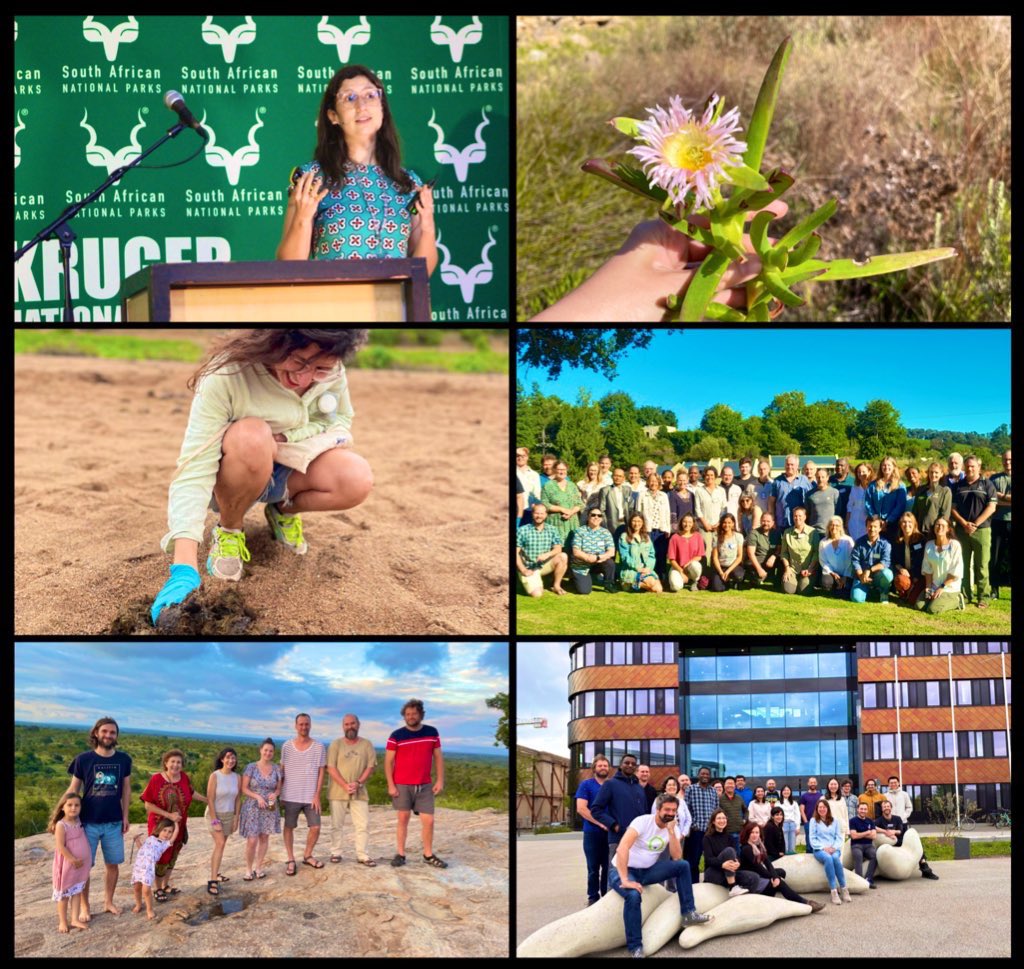 Going back home after 1.5 months of conferences, fieldwork, workshops and lots of fun! 🤩 #KrugerNationalPark #StellenboschUniversity #GloNAF