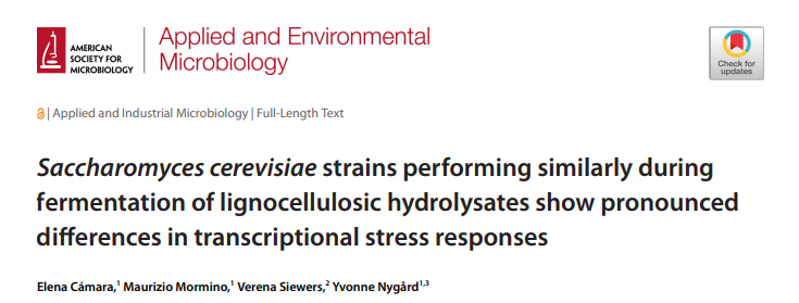 Check out our latest publication where Elena and Mauri show that despite similar performance on lignocellulosic hydrolysates, five yeast strains exhibited pronounced transcriptional stress responses. journals.asm.org/doi/pdf/10.112…