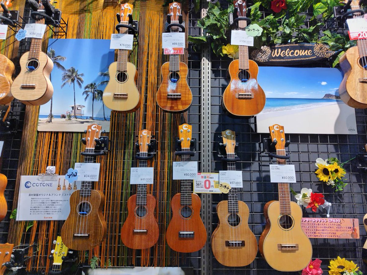 shima_mito_uh's tweet image. こんばんは！ウクレレ担当です🌺
店頭ウクレレコーナーに #COTONE のウクレレを集めたスペースを作りました🙌
とっても弾きやすくていい音がする、おススメのウクレレです☺️
ぜひ店頭でお試しください🌟
#島村楽器 #ウクレレ #コトネ