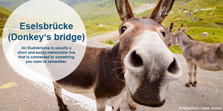 #WordOfTheDay : Do you know the #German expression 'Eselsbrücke”? 🤔 This German #word literally means “donkey bridge” and refers to any mnemonic device or phrase that is used to remember facts or information. #FactFriday #FunFactFriday