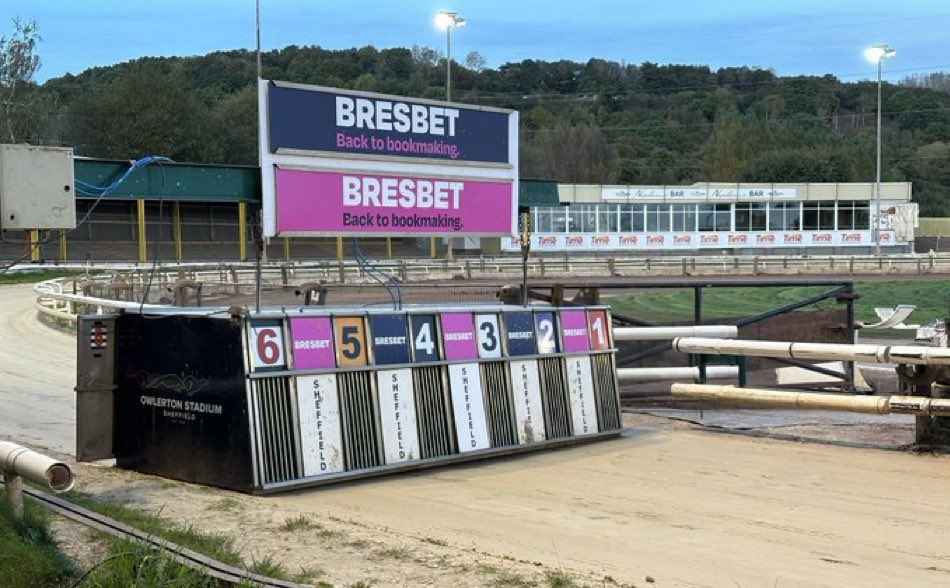 It’s the #BresBetGymcrack semifinals @OwlertonRacing on Sunday 

bresbet.com/event/greyhoun…