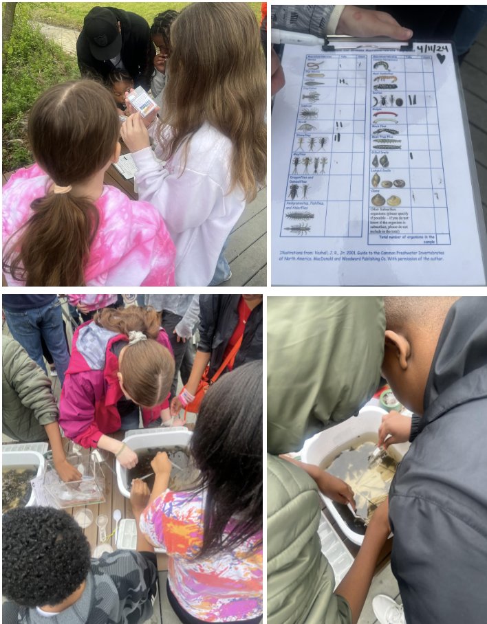 What a week in FLEx land! Our 2nd graders had a field trip in which they read, designed, built, & explored! Also, our 6th graders went to the Mariner's Museum to test water quality & classify macro- & micro- invertebrates! @TechyThomason @TeachThatTech15 @lockettech @GarySkeen01